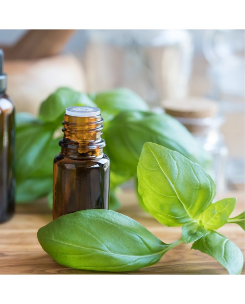 Basil Pure Essential Oil