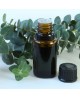 Eucalyptus Pure Essential Oil