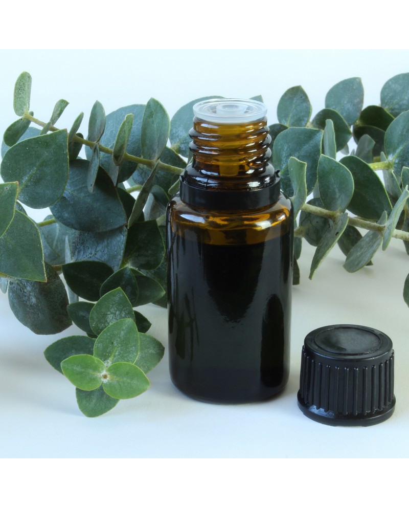 Eucalyptus Pure Essential Oil