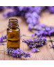 Lavender Pure Essential Oil