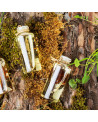 Patchouli Pure Essential Oil