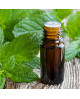 Peppermint Pure Essential Oil