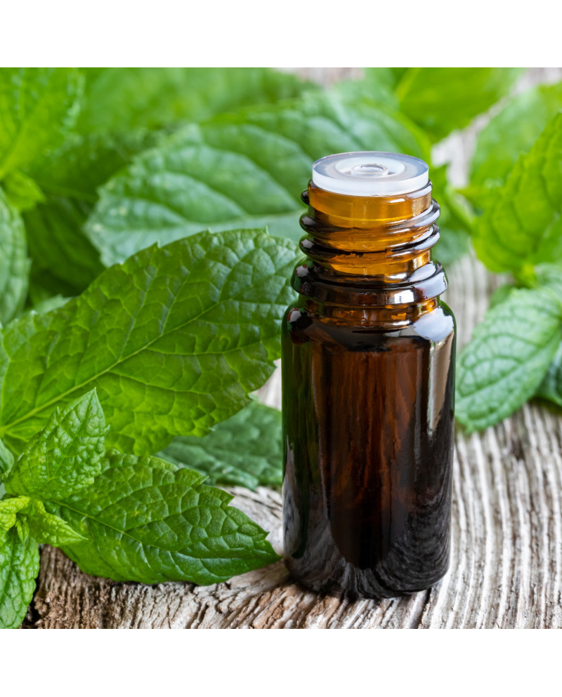 Peppermint Pure Essential Oil