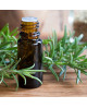 Rosemary Pure Essential Oil