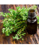 Thyme Pure Essential Oil